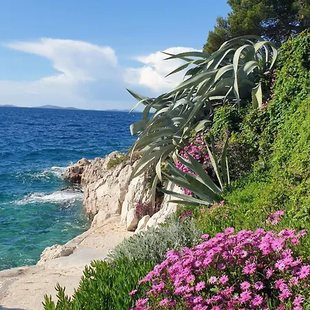 Apartment Sunhill Golden Ray Primosten