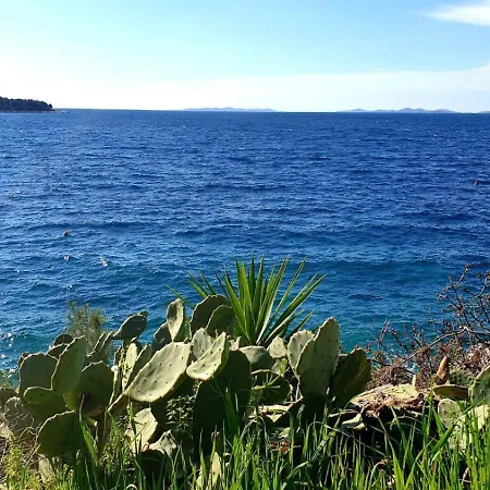 Sunhill Golden Ray Apartment *