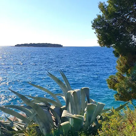 Apartment Sunhill Golden Ray *