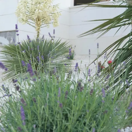 Sunhill Golden Ray Apartment