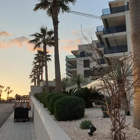 Sunhill Golden Ray Primosten