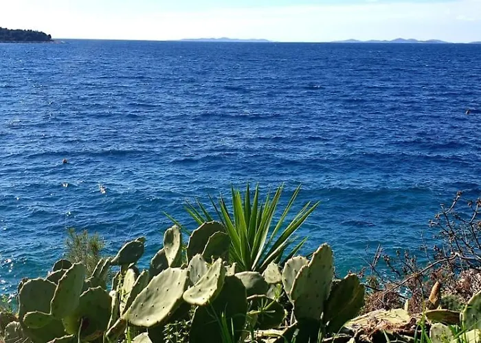 Sunhill Golden Ray Apartman *