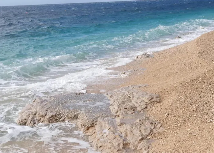 Sunhill Golden Ray *