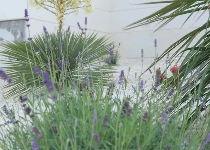 Sunhill Golden Ray Apartman