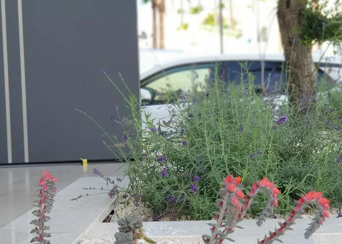 Apartment Sunhill Golden Ray