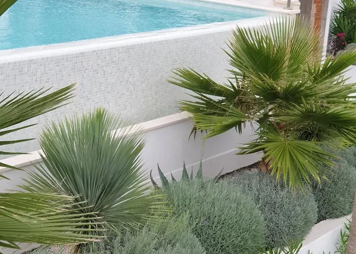 Sunhill Golden Ray Primosten